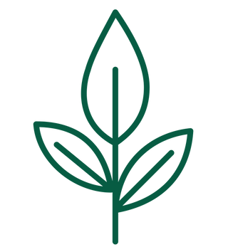 Organic Ingredients